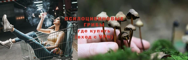 молекула духа Янаул