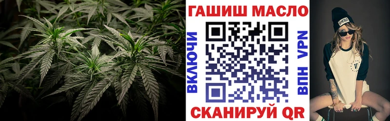 купить наркотики цена  Цоци-Юрт  ОМГ ОМГ ТОР  Дистиллят ТГК гашишное масло 