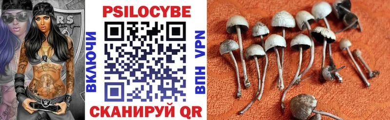 Галлюциногенные грибы мухоморы Цоци-Юрт