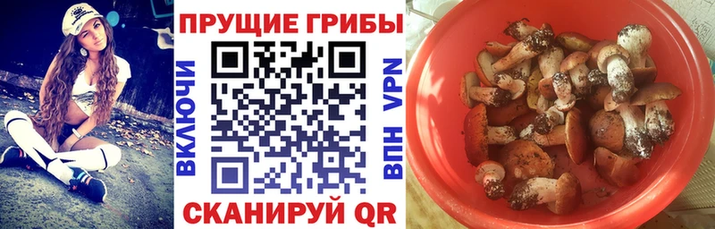 Галлюциногенные грибы мицелий  как найти наркотики  Цоци-Юрт 